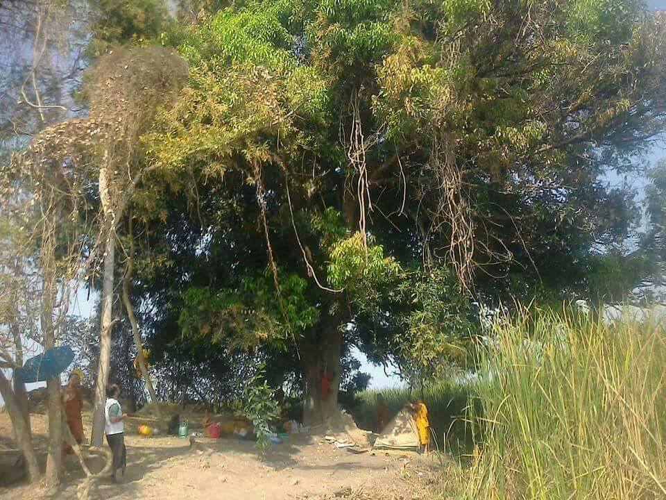 วัดเชิงหวาย ตำบลพักทัน อำเภอบางระจัน จังหวัดสิงห์บุรี